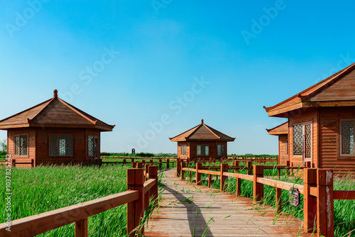 Wooden houses in Qilian Reed Sea Wetland Park, Jiuquan, Gansu, China photo