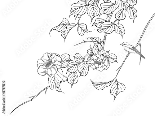 Camellia illustration, branches, leaves, flowers and a bird, digital art, black and white.