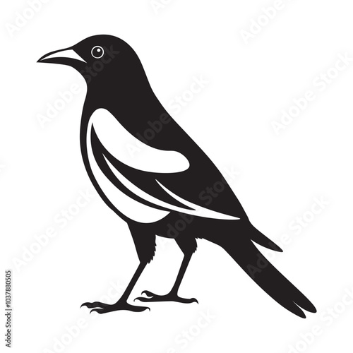 Magpie bird silhouette vector illustration, Magpie  black and white vector logo