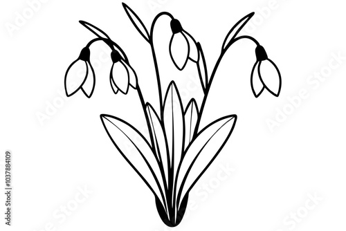 Bouquet of snowdrops Silhouette | isolated vector silhouette illustration on white background