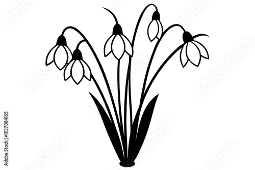 Bouquet of snowdrops Silhouette | isolated vector silhouette illustration on white background