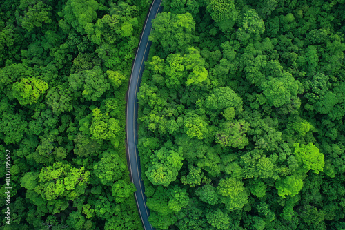 Aerial View of Winding Road Through Lush Green Forest