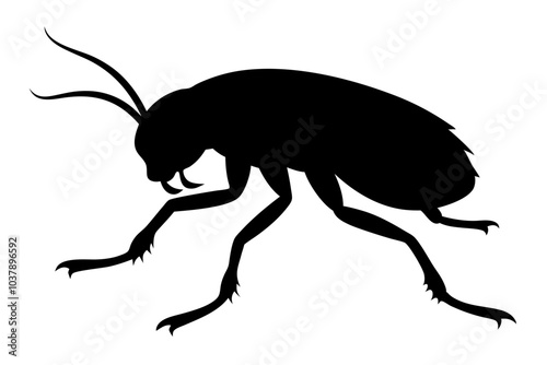 Flea Silhouette | isolated vector silhouette illustration on white background