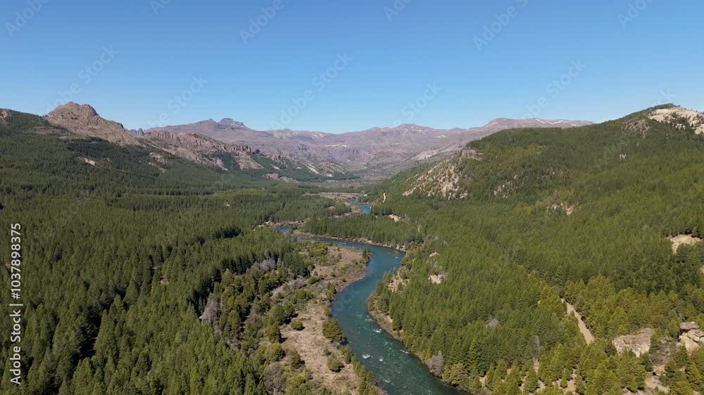 Aerial shot of the Caleufú River winding through the lush pine forests in Villa Meliquina, Argentina. The landscape is dominated by vast green forests, including pines, coihue, and lenga trees. Aerial shot of the Caleufú River winding through the lush pine forests in Villa Meliquina, Argentina. The landscape is dominated by vast green forests, including pines, coihue, and lenga trees.