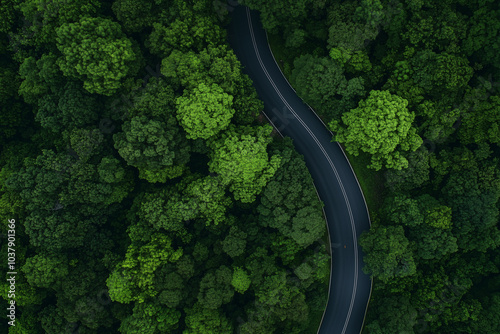 Aerial View of Winding Road Through Lush Green Forest