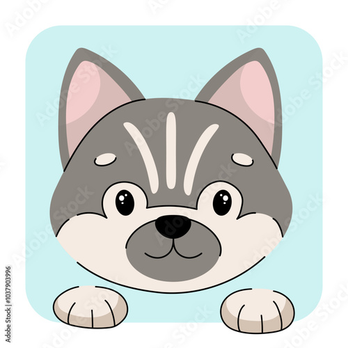 Husky dog face flat vector illustrtion. Husky dog icon