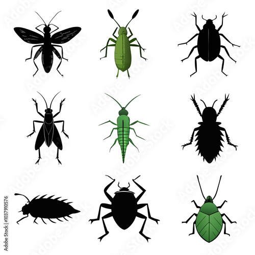 insect clipart a picture of a group of flys and moths