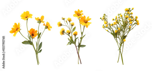 three set of A bunch of yellow flowers isolated transparent background
