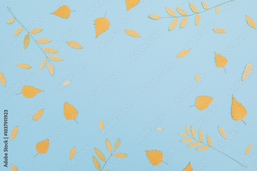 Autumnal fall leaves on blue background. Flat lay, top view. Minimalistic. Autumnal fall leaves on blue background. Flat lay, top view. Minimalistic.