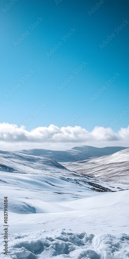 Fototapeta premium Montanhas cobertas de neve sob um céu claro