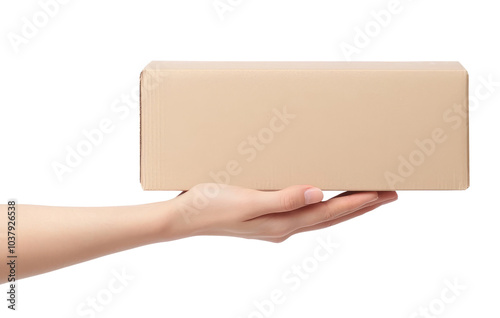 Hand with cardboard box isolated on transparent background photo