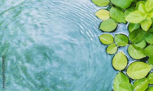 Green leaves on the water s surface Attractive water ripple backdrop, Generative AI photo