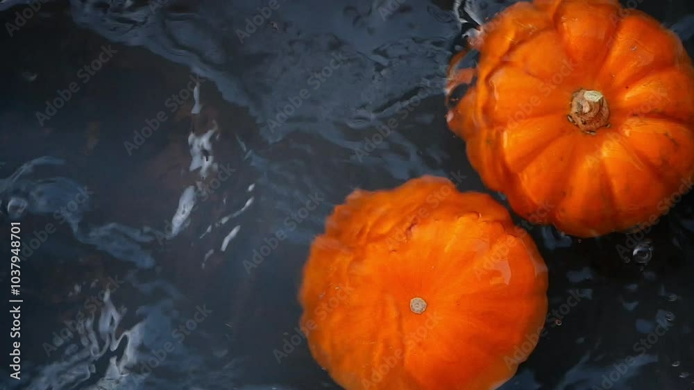 Dropping Vibrant Orange Pumpkin in a water bow Dropping Vibrant Orange Pumpkin in a water bow