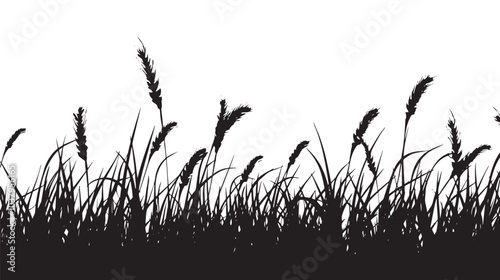 A field of wheat waving in the wind. silhouette illustration 