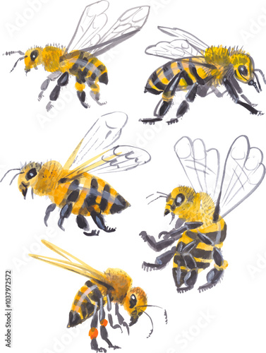 Set of bees clipart isolated. Hand drawn watercolor illustration.