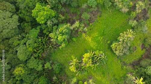 Experience the breathtaking and stunning beauty of Costa Ricas lush green forests from a captivating aerial perspective, showcasing the rich and diverse flora along with vibrant landscapes photo