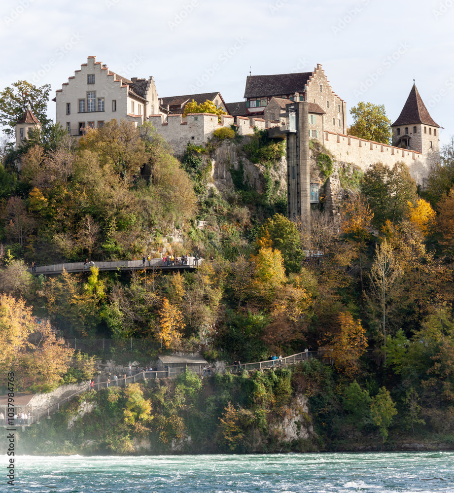 Fototapeta premium Laufen Castle above the Rhine Falls, Neuhausen am Rheinfall