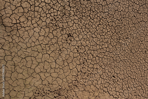 Cracks in the earth from a drought-ridden swamp