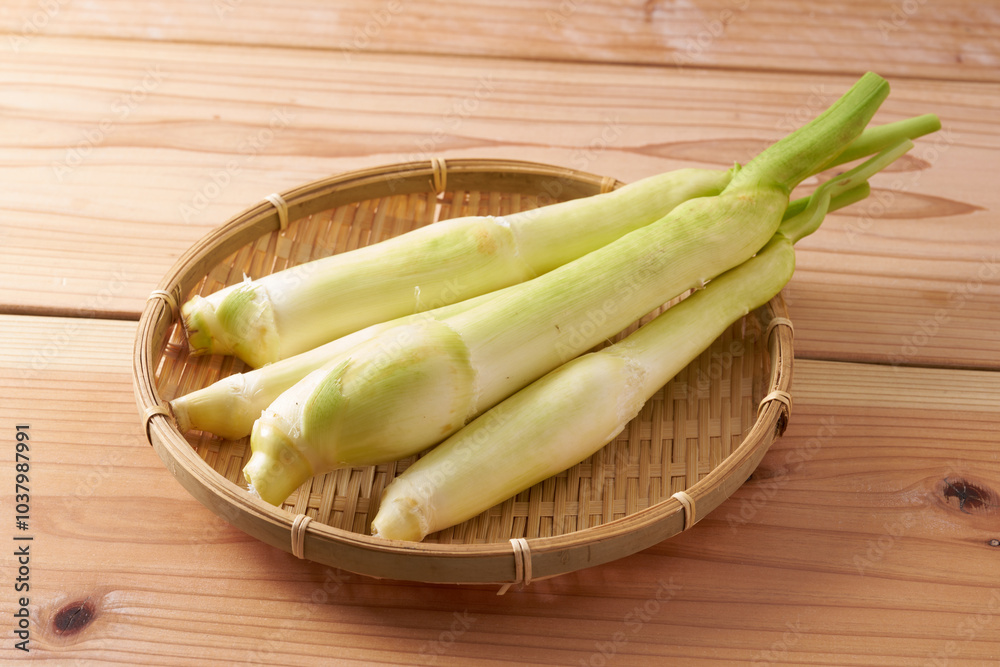 マコモダケ(真菰筍)イメージ マコモダケ(真菰筍)イメージ