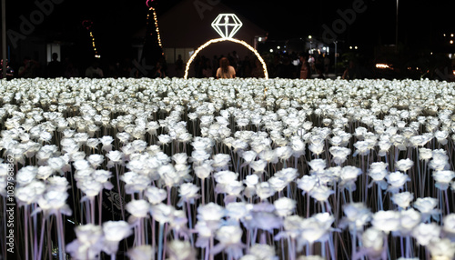 Tableau sur toile White Rose Night Shot Isolated 10000 Roses Cebu Roses White light