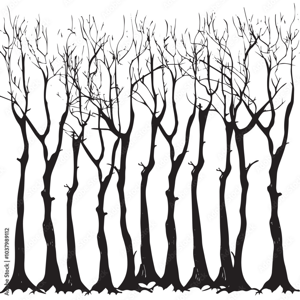 Fototapeta premium A forest of bare winter trees. silhouette illustration 