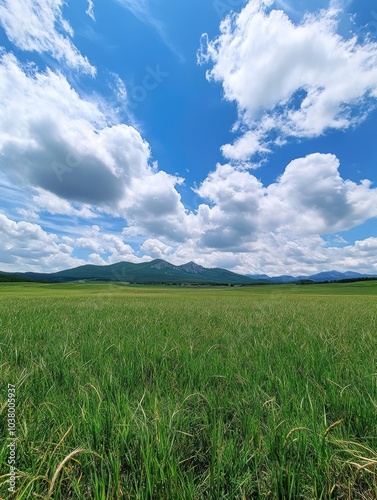 Mountainous landscape with green meadow