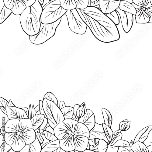 Frame of catharanthus flowers, floral arrangement with leaves as border for design. Periwinkle flower. Vector illustration