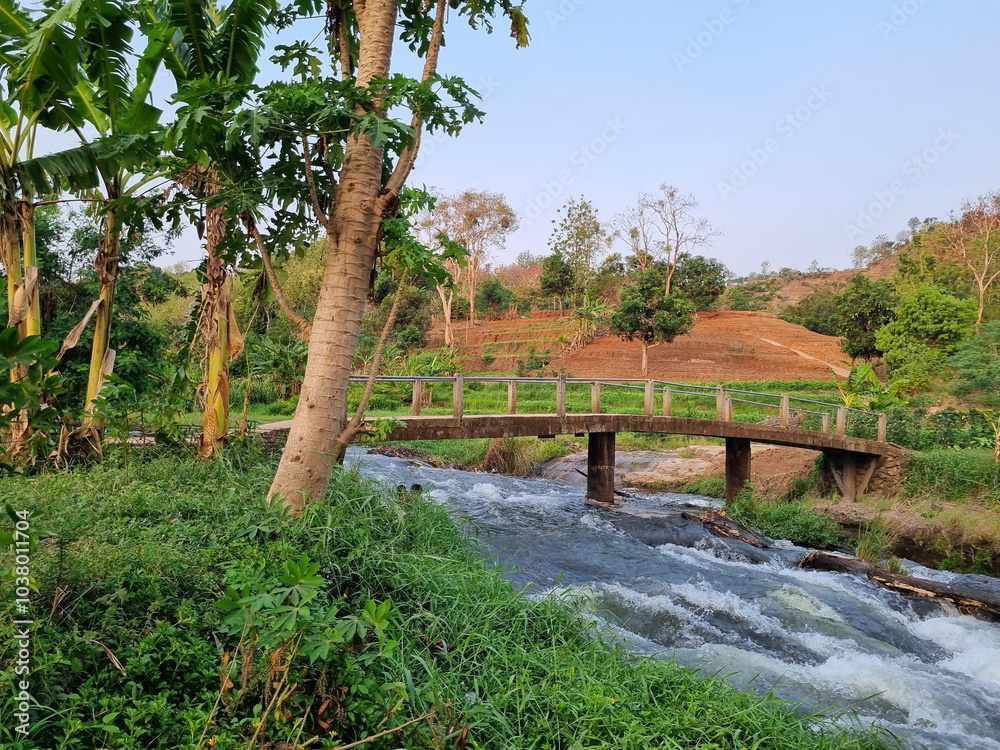 Fototapeta premium wooden bridge over river