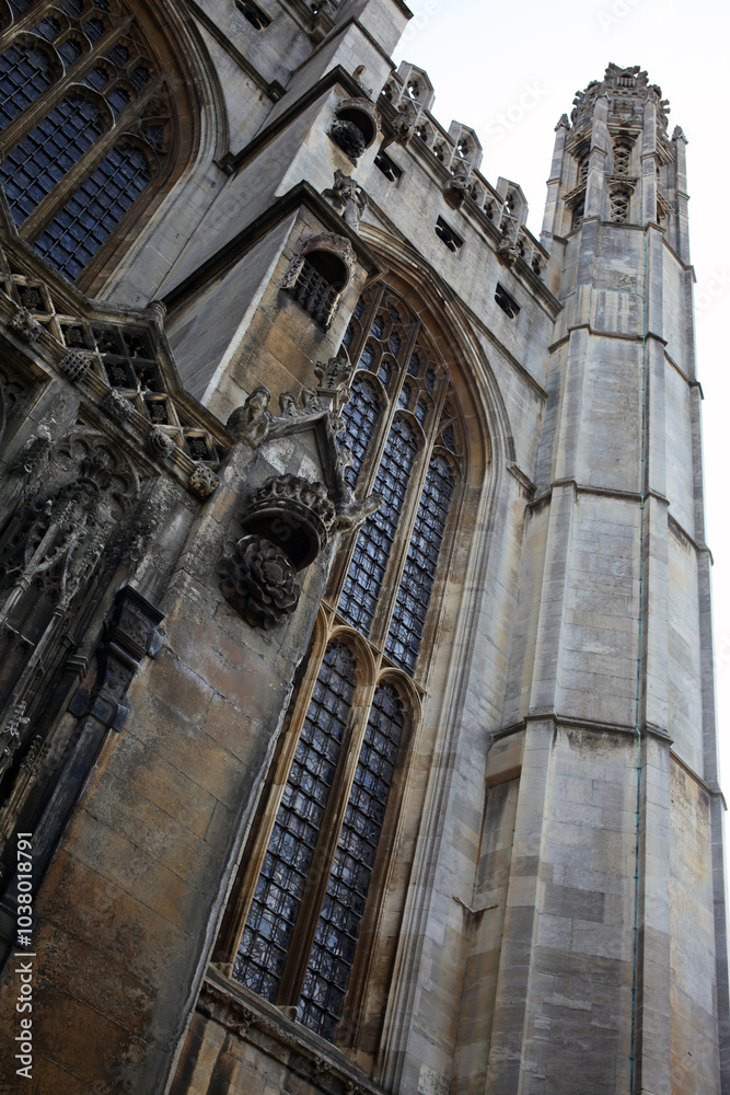 Naklejka premium Grounds of the King's College of Our Lady and Saint Nicholas in Cambridge - University of Cambridge - Cambridge - Cambridgeshire - England - UK