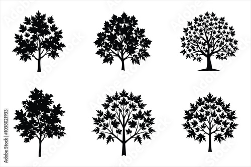 Bundle of Autumn Maple tree silhouette art. Maple tree silhouette with intricate branches and detailed leaf