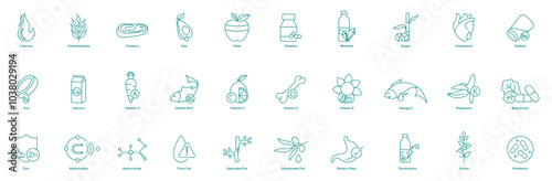 Calories, Carbohydrates, Proteins, Fats, Fiber, Vitamins, Minerals, Sugar, Cholesterol, Sodium, Iron, Calcium, Vitamins A, B12, C, D, E, Omega-3, Potassium, Magnesium, Zinc, Antioxidants vector icons
