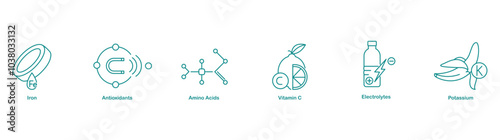Iron, Antioxidants, Amino Acids, Vitamin C, Electrolytes, and Potassium Icons for Health Support