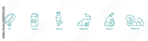 Iron, Calcium, Vitamin A, Vitamin B12, Vitamin C, and Magnesium Icons for Comprehensive Nutrition