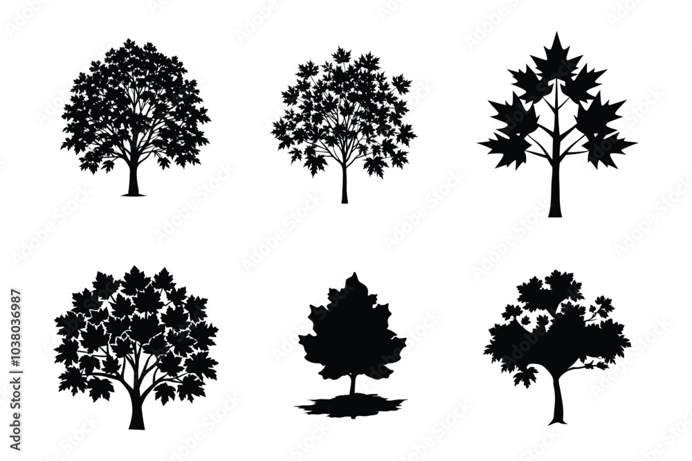 Fototapeta premium Bundle of Autumn Maple tree silhouette art. Maple tree silhouette with intricate branches and detailed leaf