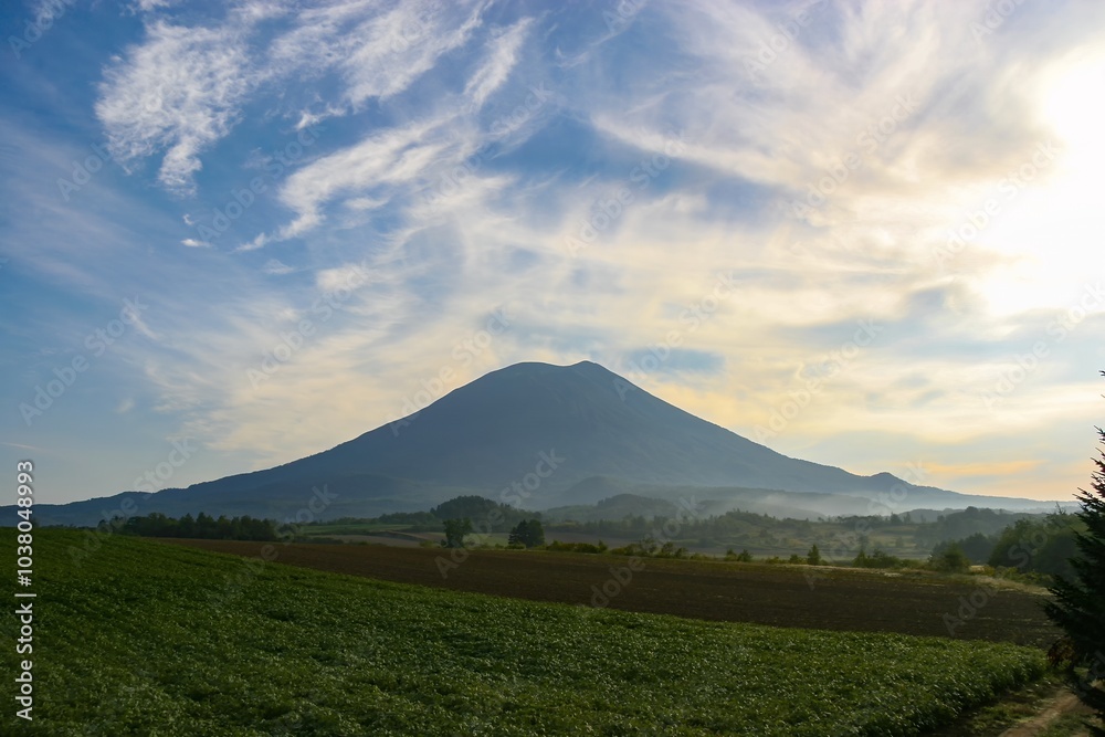 Fototapeta premium 朝日に染まる羊蹄山