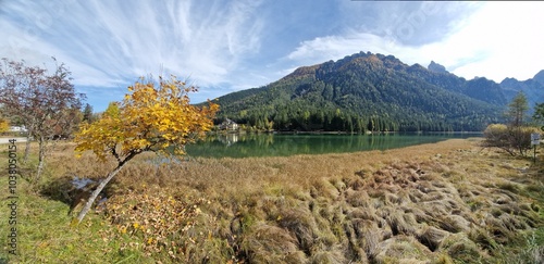 A detail of an autumn lake view