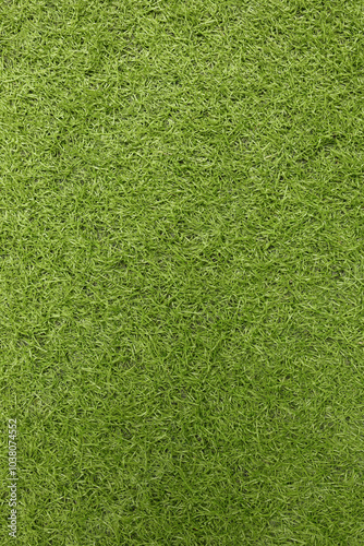 Green Artificial Grass, Artificial grass field