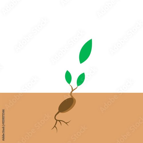 seed germination from soil vector illustration eps