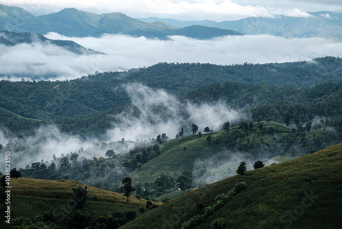 rice fields on a mountain and take photo in the Ban Pa Bong Piang, Mae Chaem District, Chiang Mai Province, northern Thailand in the rainy season. photo