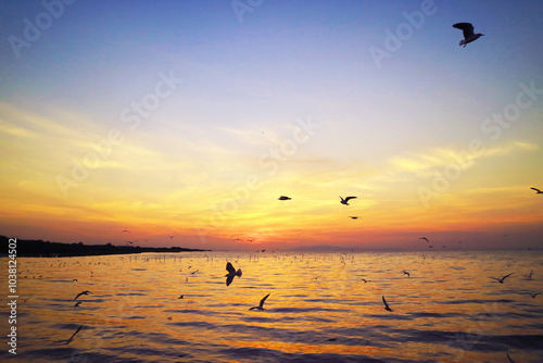 Calm Sea at Dawn with Flocks of Early Birds Flying