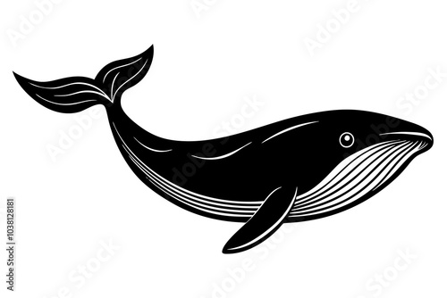 a big whale silhouette vector black illustration