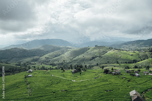 rice fields on a mountain and take photo in the Ban Pa Bong Piang, Mae Chaem District, Chiang Mai Province, northern Thailand in the rainy season. photo