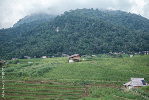 rice fields on a mountain and take photo in the Ban Pa Bong Piang, Mae Chaem District, Chiang Mai Province, northern Thailand in the rainy season.