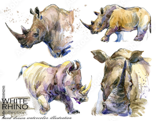 Watercolor painted set White  rhinoceros in various poses isolated on white background