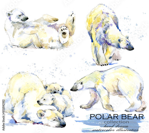 Watercolor painted set Polar bear in various poses isolated on white background