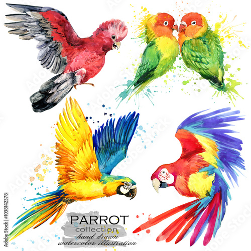 Watercolour set Parrots in different poses isolated on white background
