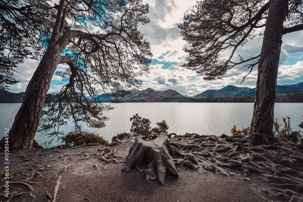 Fototapeta premium beautiful landscape and natural heritage of Lake District, England