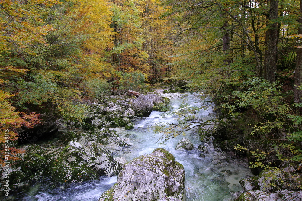 The path to the Savica Falls