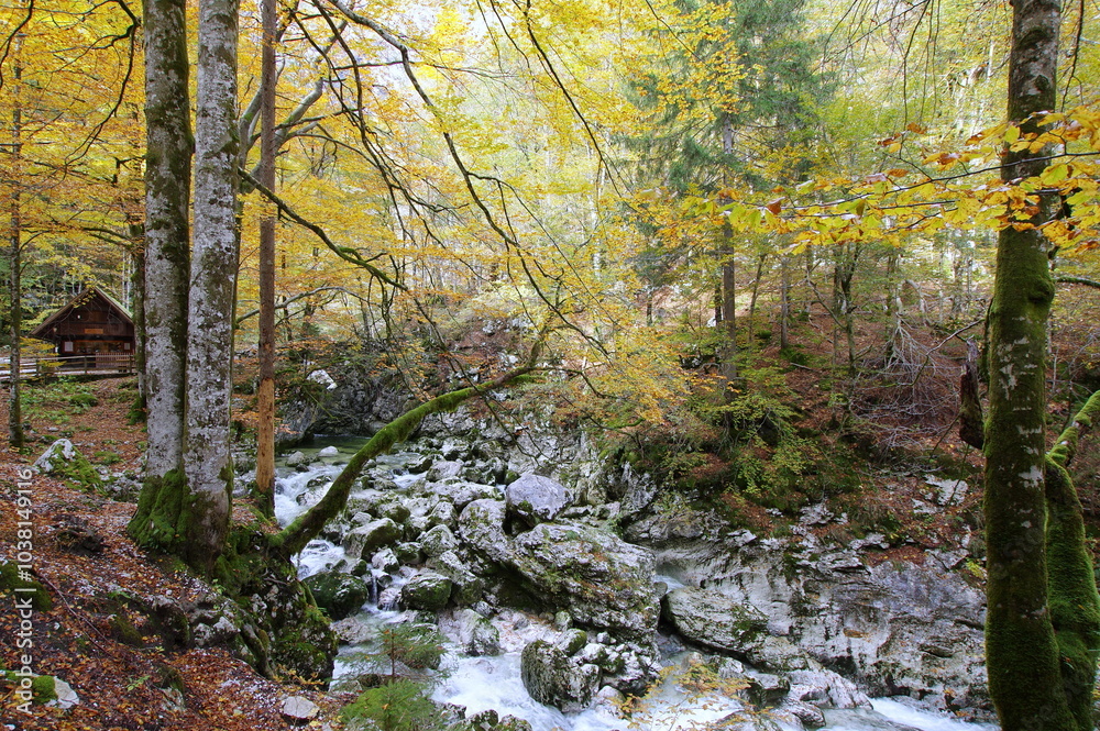 The path to the Savica Falls