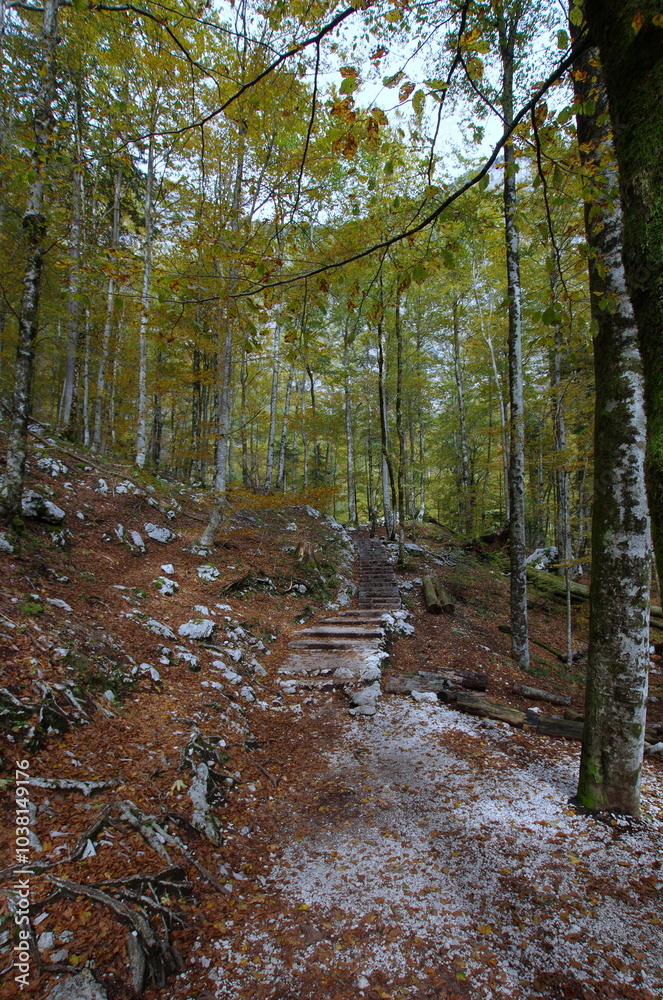 The path to the Savica Falls